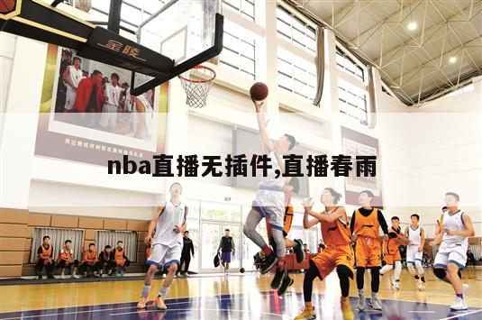 nba直播无插件,直播春雨