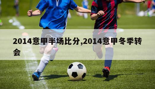 2014意甲半场比分,2014意甲冬季转会