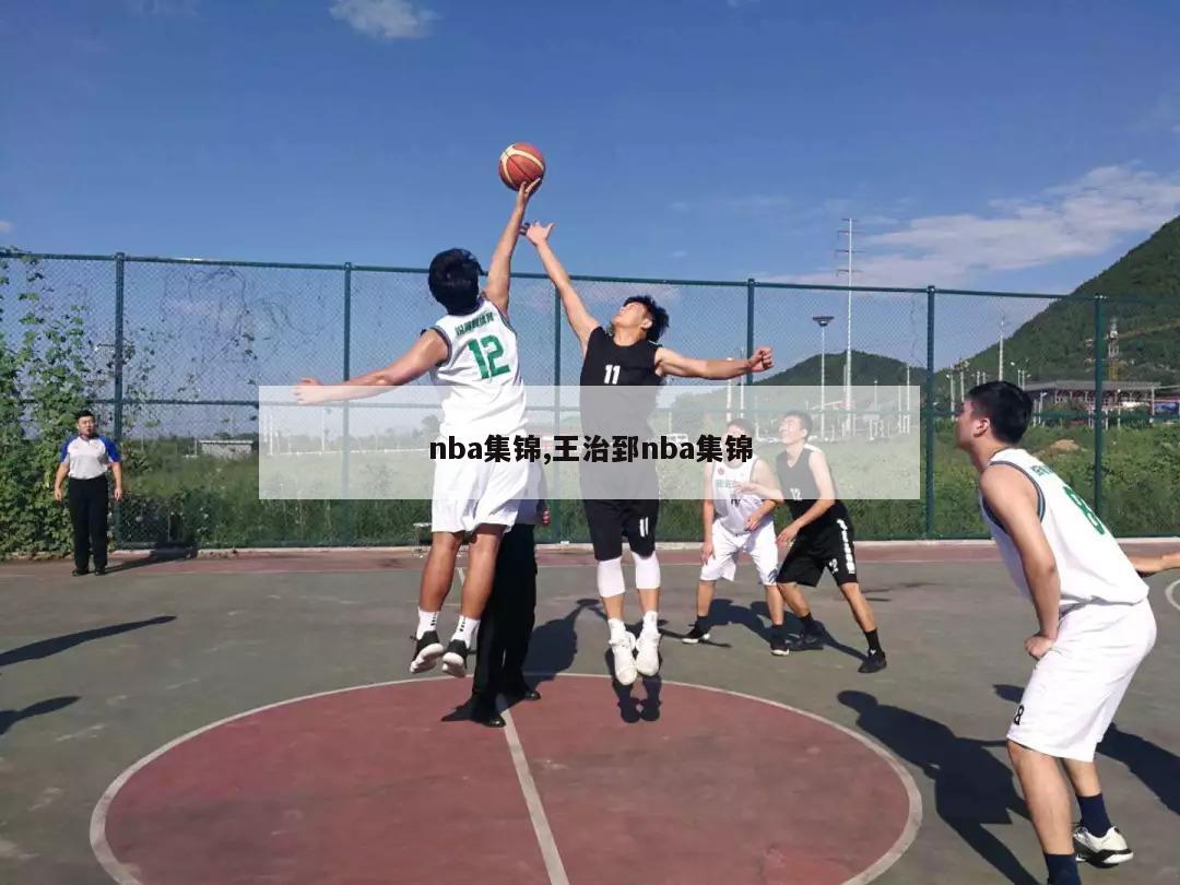 nba集锦,王治郅nba集锦