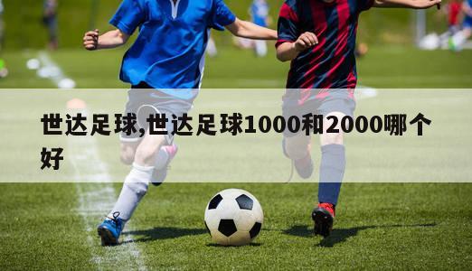 世达足球,世达足球1000和2000哪个好