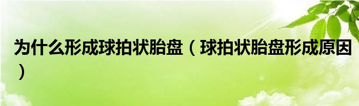 为什么形成球拍状胎盘（球拍状胎盘形成原因）