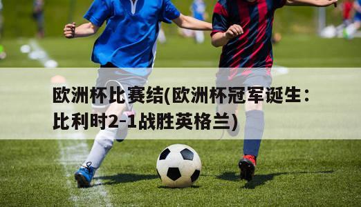 欧洲杯比赛结(欧洲杯冠军诞生：比利时2-1战胜英格兰)